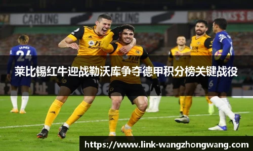 王中王官网资料